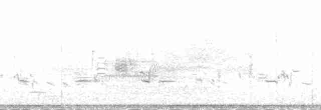 Приморская овсянка-барсучок - ML136243