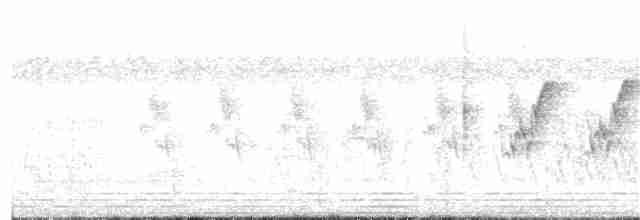 黃頸黑鷺 - ML136243111