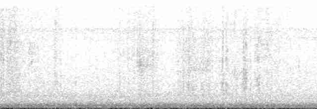 amerikaslangehals - ML136253