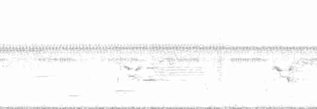 Common Gallinule (American) - ML136260