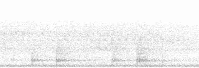 Короткохвостый канюк - ML136265