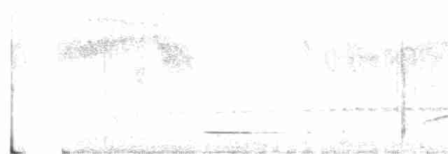 Solitary Tinamou - ML136275831