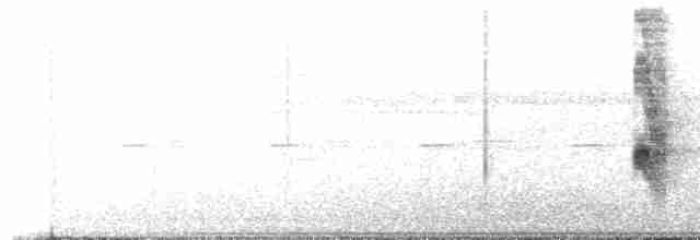 Dull-mantled Antbird - ML136304411