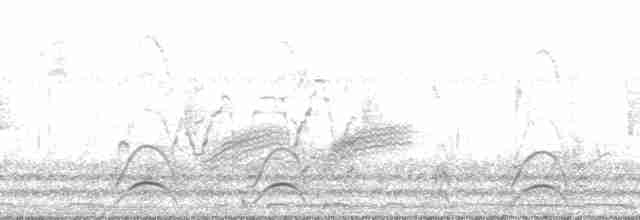 Віреон мангровий (підвид ochraceus/semiflavus) - ML136306