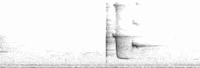 Glanzspottdrossel - ML136317