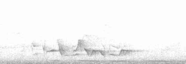 Kara Kedikuşu - ML136325