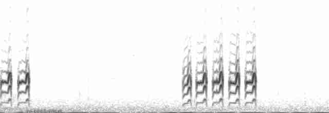 Bécasseau des Aléoutiennes (tschuktschorum) - ML136332