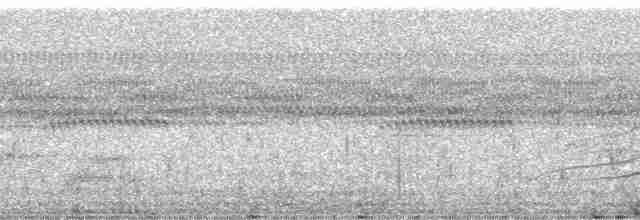 Gray-headed Kite - ML13637