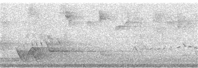 Graumantel-Brillenvogel - ML136374611