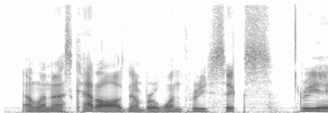 白腰燕鷗 - ML136382