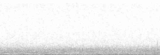 Whimbrel (Hudsonian) - ML136389