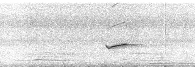 Epaulet Oriole (Epaulet) - ML13640