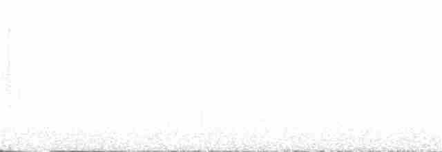 Mohoua à tête blanche - ML136406091