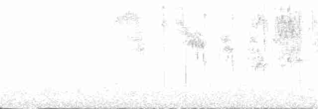 Mohoua à tête blanche - ML136406211