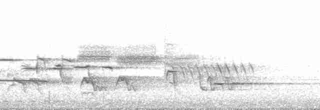 Gri Yanaklı Bülbül Ardıcı - ML136412
