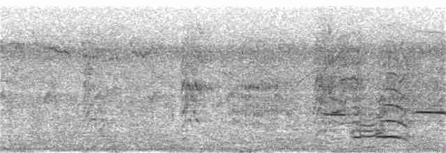 Striped Cuckoo - ML136415361