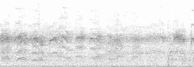 Océanite à queue fourchue - ML136440