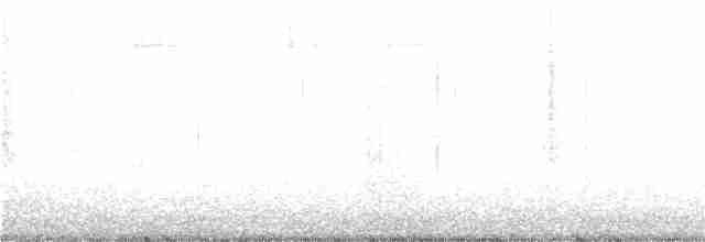 גיבתונית רוננת - ML136447651