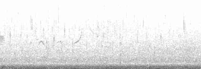 alkoun holubí - ML136453