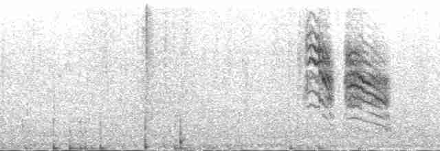 Сероголовая гаичка - ML136482