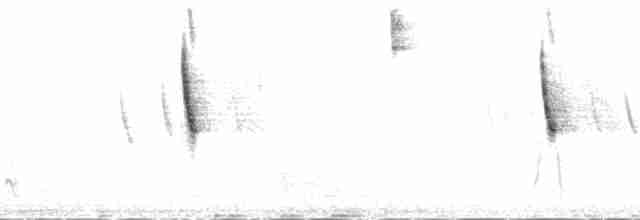 Чернобровая овсянка - ML136492