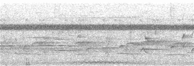 Соломонский карликовый попугайчик - ML136520441