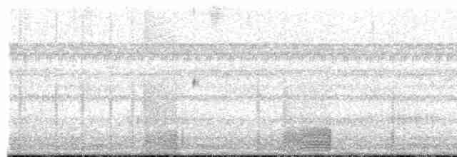 Scissor-tailed Nightjar - ML136523881