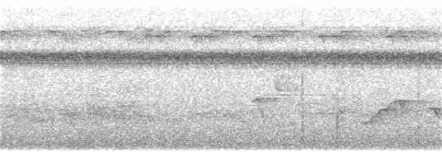 Белобровая белоглазка - ML136534961