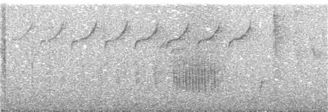 Troglodyte de Branicki - ML136562091