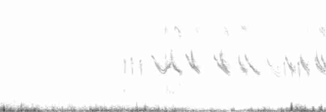 Plectrophane lapon - ML136627041