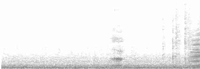 Neotropic Cormorant - ML136639871