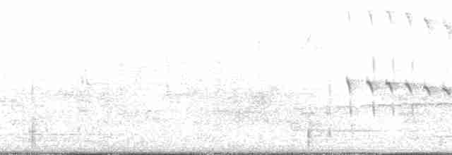 Амазонский зимородок - ML136643