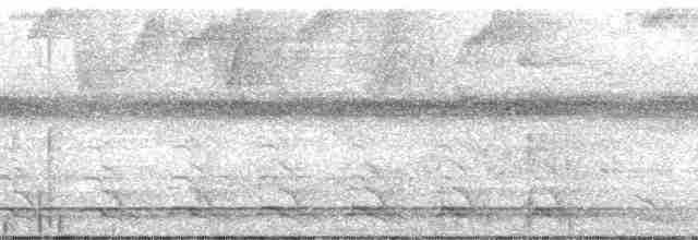Trogon à queue blanche - ML136666