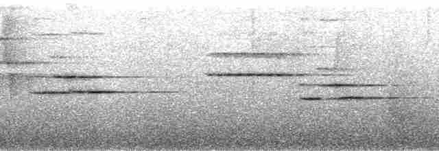 Солітаріо андійський (підвид ralloides) - ML136698