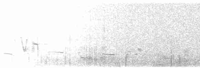 Western Meadowlark - ML136723381