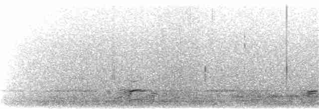 Common Merganser - ML136762061