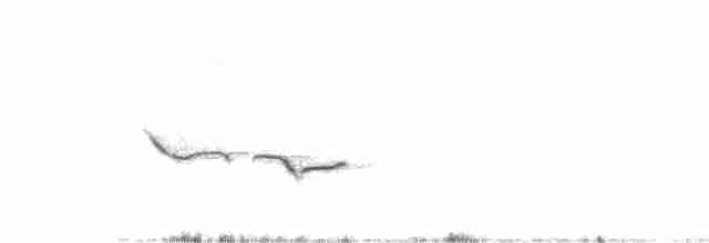 Африканский жаворонок - ML136762711