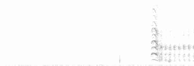 Хохлатая чубатка - ML136763081