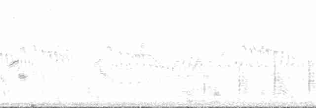 Gray-headed Bushshrike - ML136788621