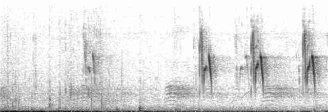 Gray Wren-Warbler - ML136788631