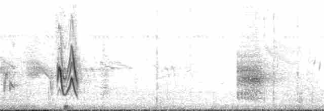 Gray Wren-Warbler - ML136788771