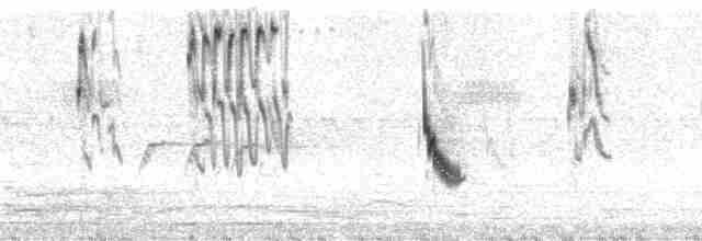 Сероголовый воробей - ML1368