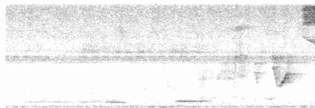 Gray-headed Tanager - ML136805301