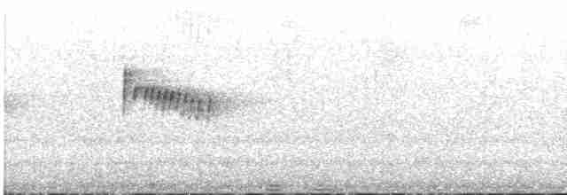 Troglodyte ocré - ML136849161
