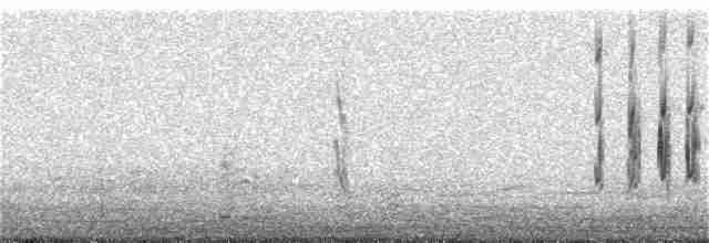 Scale-throated Earthcreeper - ML136940171