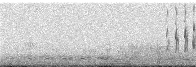 Scale-throated Earthcreeper - ML136940211