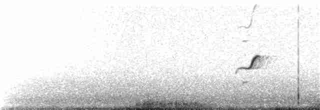 Lesser Shrike-Tyrant - ML136947021