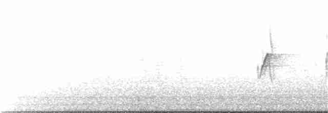 Gray-hooded Sierra Finch - ML136947231