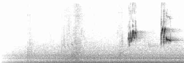 Вівсянчик чилійський - ML136947241