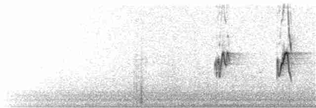 Gray-hooded Sierra Finch - ML136947251